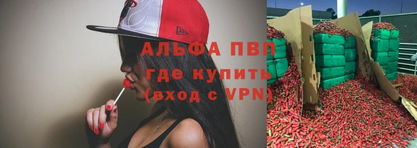 прущая мука Вяземский