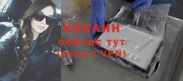 сатива Горнозаводск
