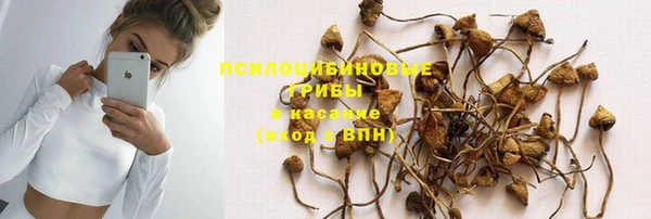 соль ск Горняк
