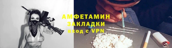 прущая мука Вяземский