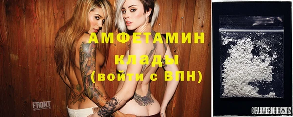 прущая мука Вяземский