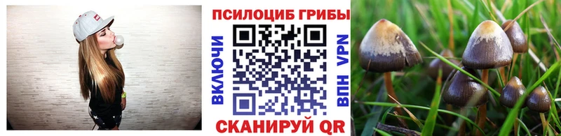 Галлюциногенные грибы MAGIC MUSHROOMS  Ростов-на-Дону 